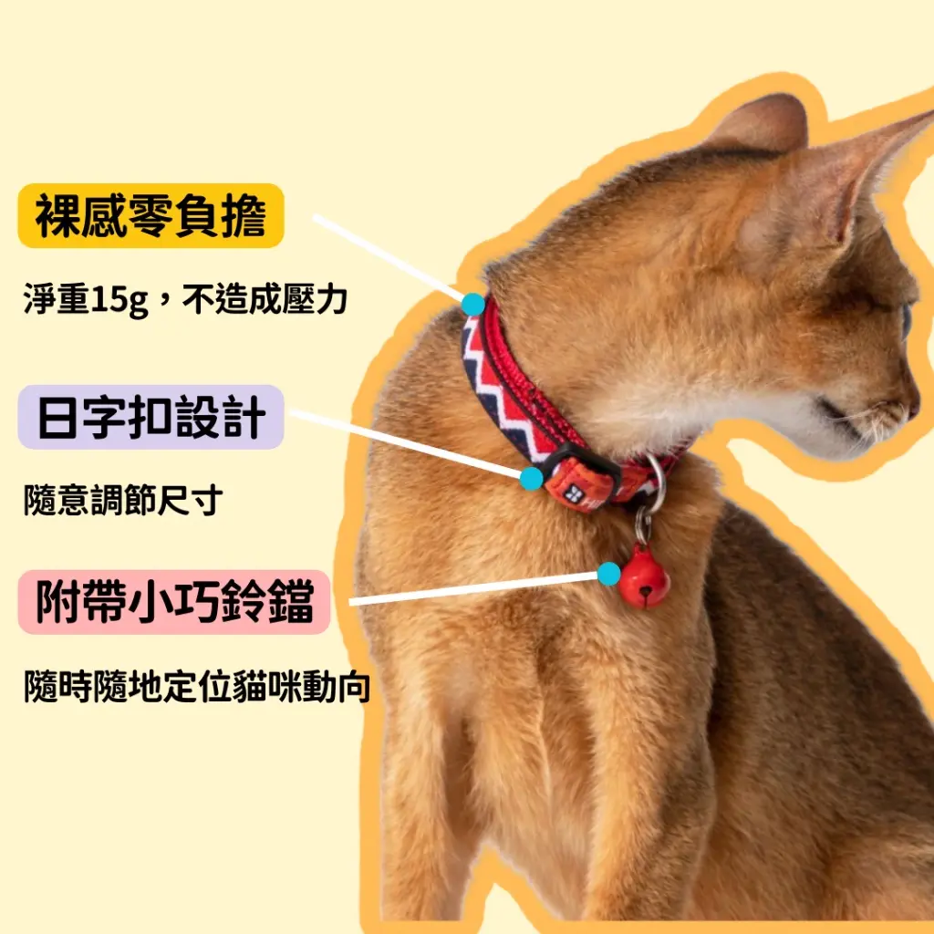 3.webp